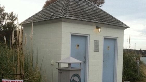 porta potty in a camping setting surrounded by nature