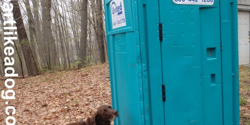 porta potty cleaning